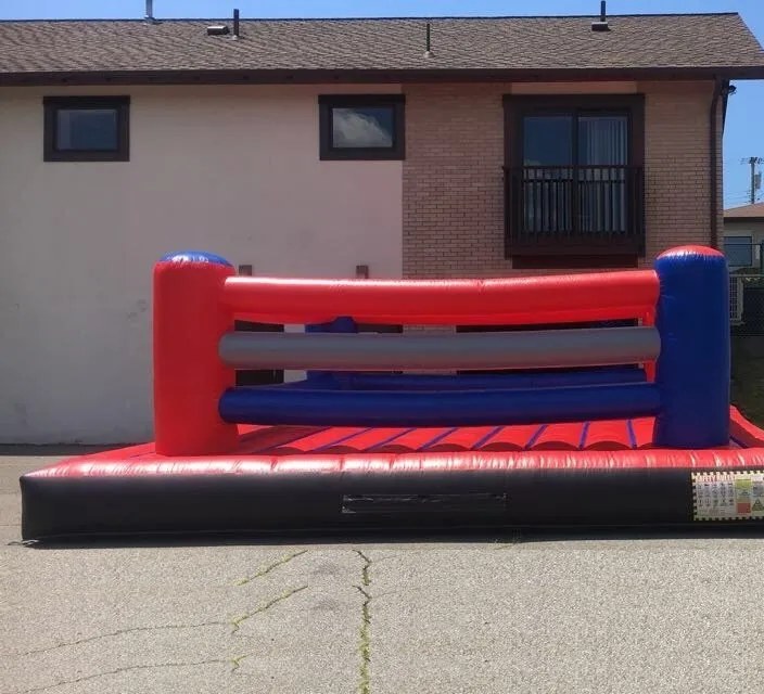 Inflatable boxing and wrestling ring